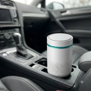 PureNest Car C2